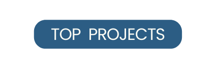 TOP PROJECTS